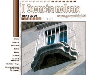 Il Geometra Molisano n. 8